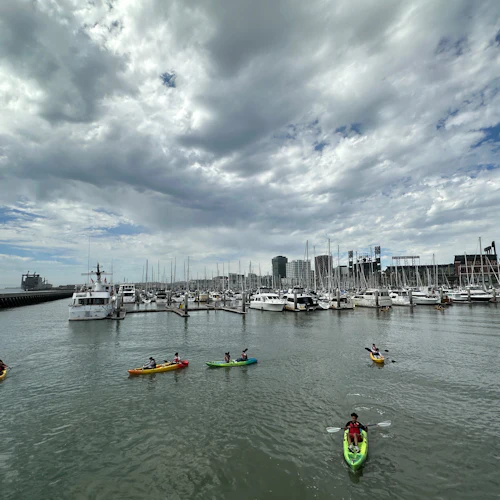 San Francisco: 1-Hour Kayak or Stand-up Paddleboard Rental - Photo 14