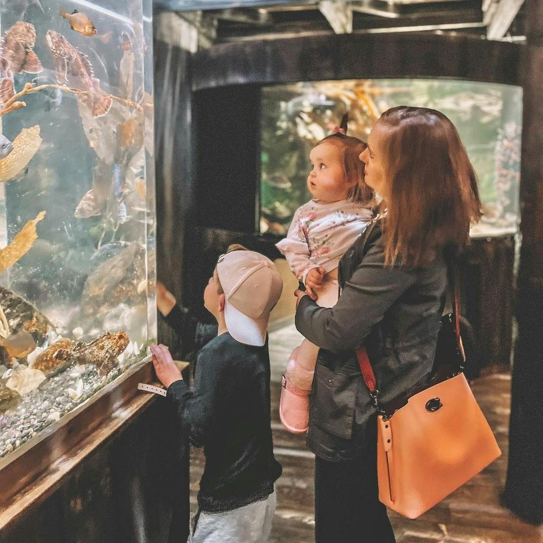 Downtown Aquarium Denver Tickets Tiqets