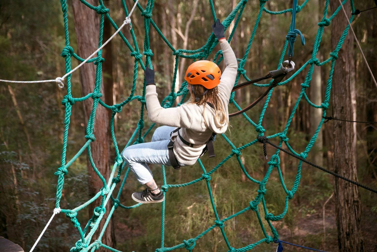 Treetops Adventure Central Coast: Ropes Course + Zipcoaster Ride in Wyong Creek – Tiqets