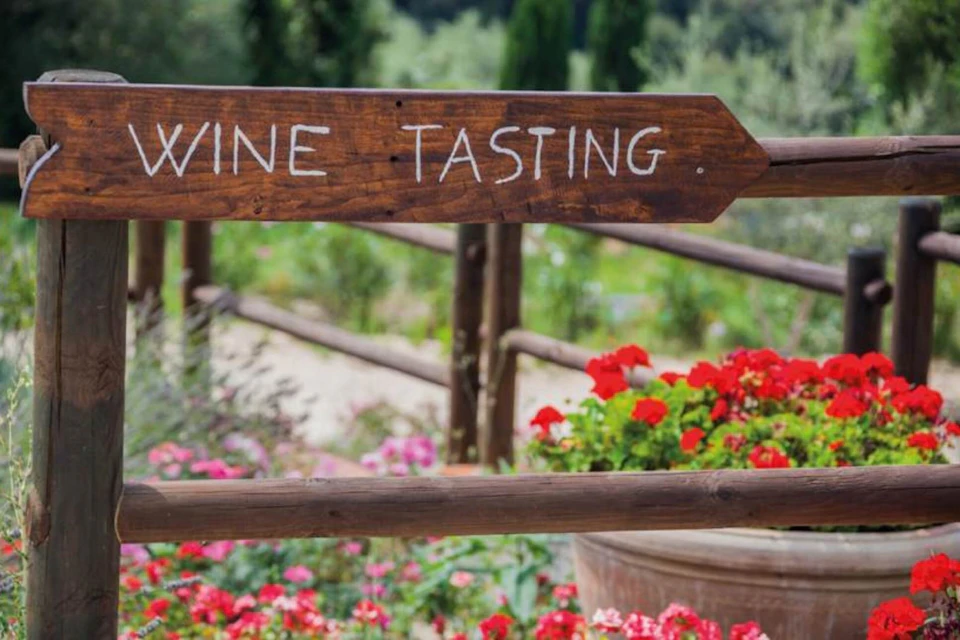 wine tasting