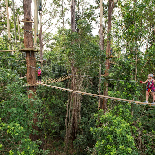 TreeTop Challenge no The Big Pineapple em Sunshine Coast - Photo 4