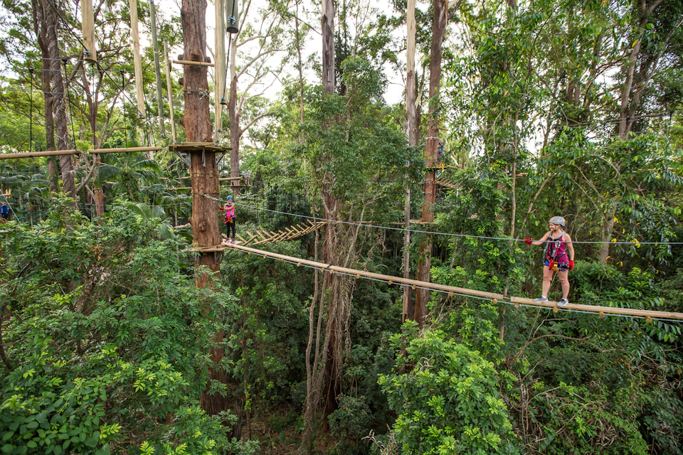 Two people crossing a rope bridge in a dense forest canopy, wearing helmets and safety harnesses, standing on wooden planks.