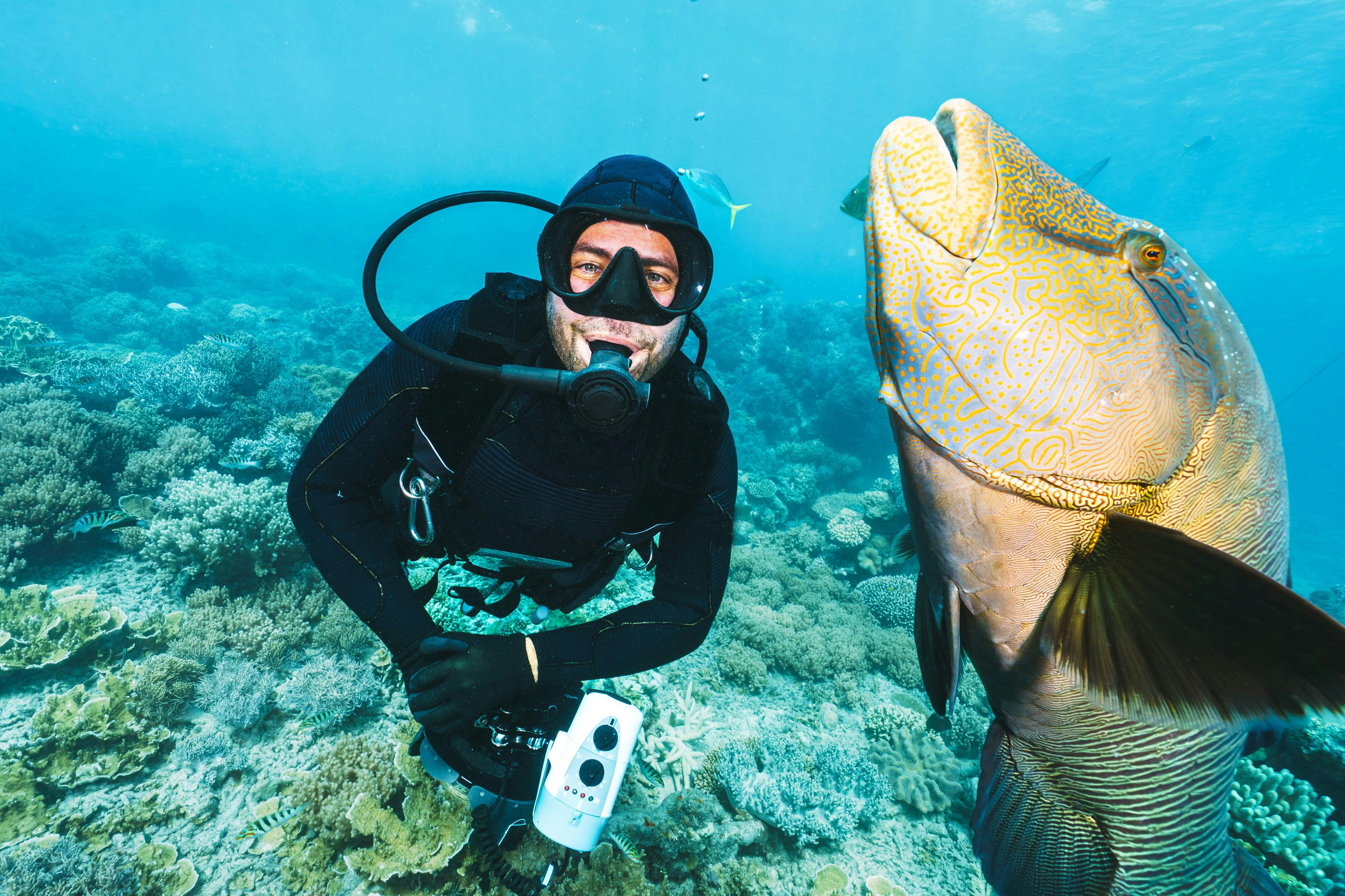 Un plongeur vêtu d'un équipement noir et tenant un appareil photo est sous l'eau près d'un grand poisson coloré et de récifs coralliens.