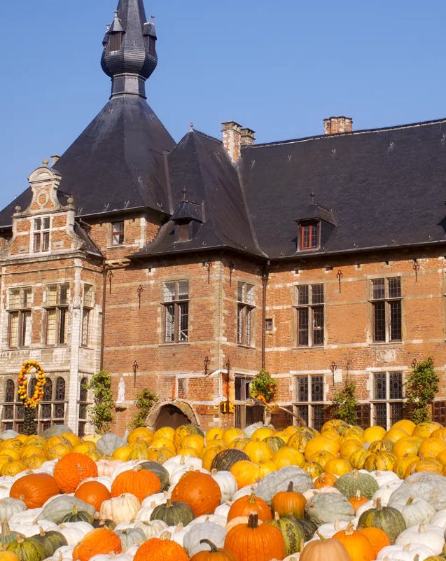 Castelo de Groot-Bijgaarden: Pumpkimania 2025 - Photo 7