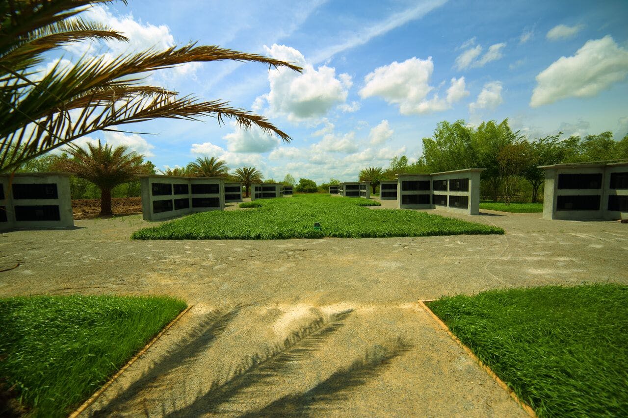 Ένα διαμορφωμένο νεκροταφείο με πέτρινα μαυσωλεία, πράσινο γρασίδι, φοίνικες και γαλάζιο ουρανό με διάσπαρτα σύννεφα.