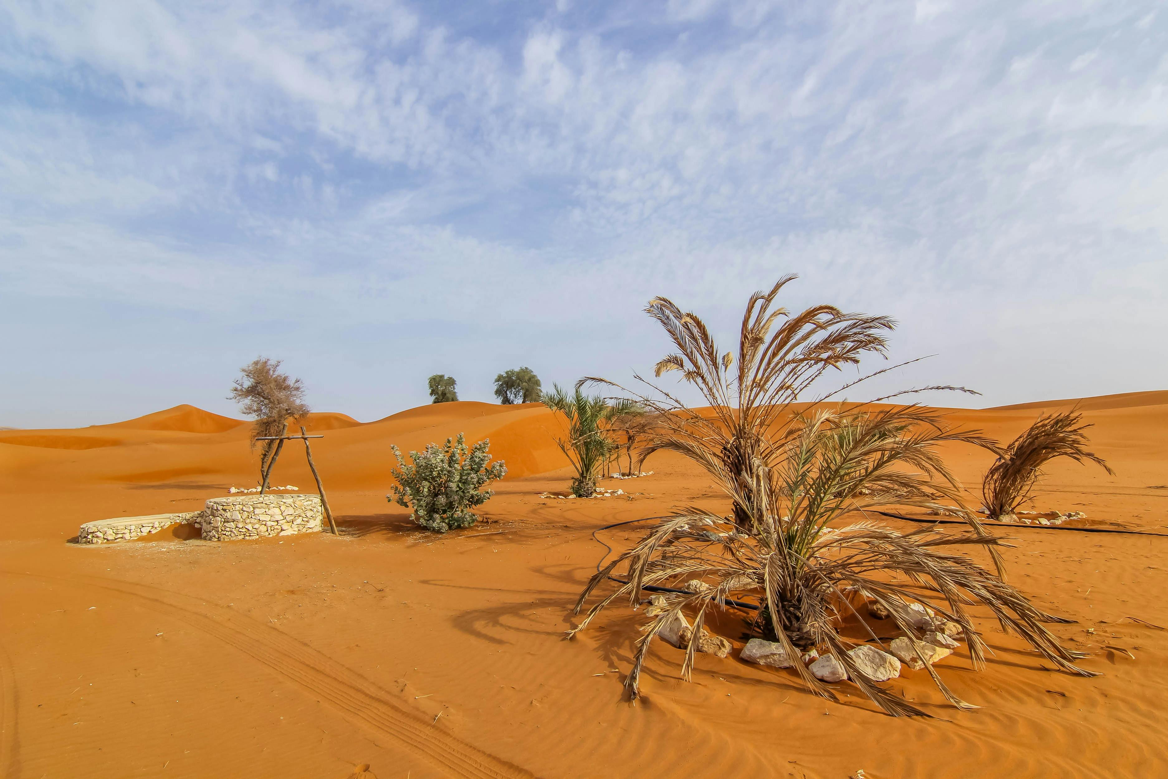 Orient Tours Ντουμπάι - Scenic Sights Hatta Desert Safari με πρωινό