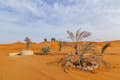 东方旅游迪拜--风景名胜哈塔沙漠野生动物园，含早餐