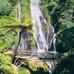 Lake Bratan, Handara Iconic Gate, Banyumala Waterfall & Swing with Live Guide 3