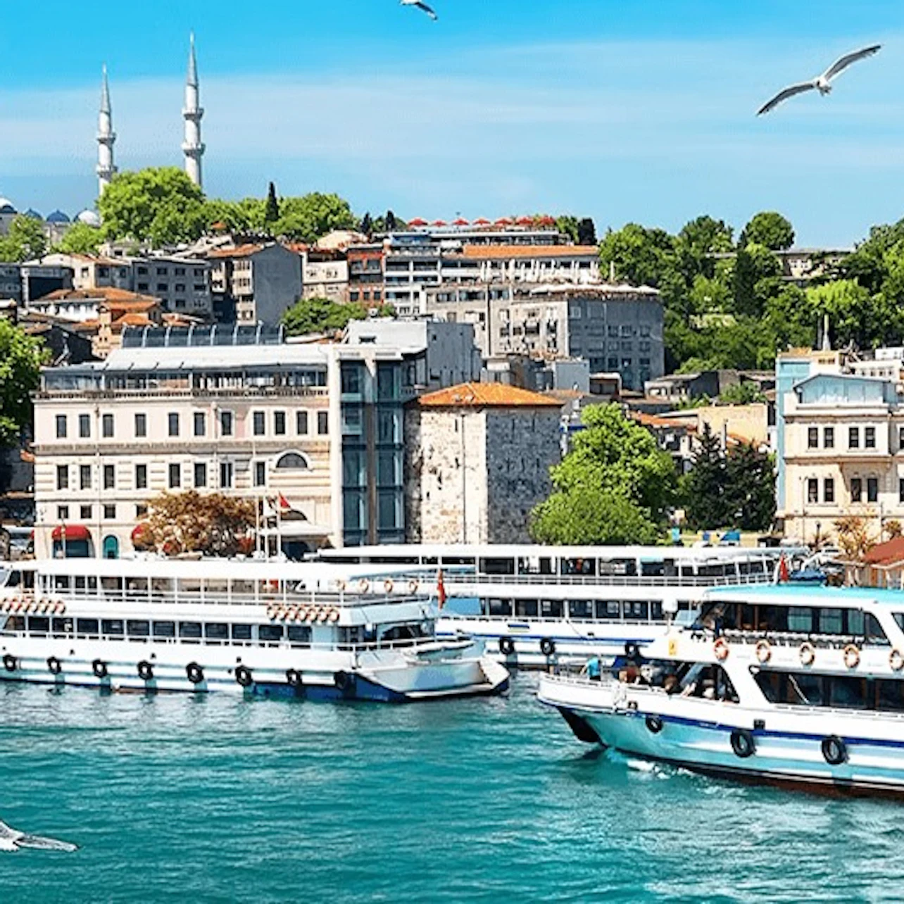 Slider Image