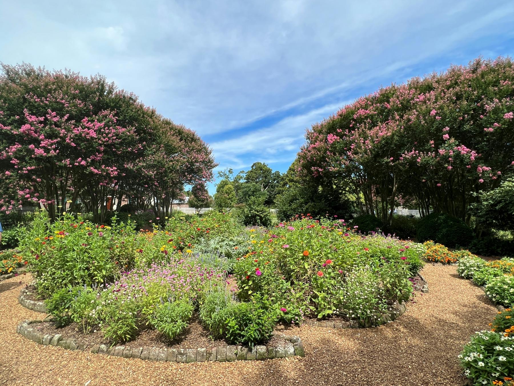 Garden scene with pink flowering trees lining a gravel path, lush green plants, and colorful flowers under a blue sky.