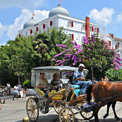 Hästdragen vagn med förare och passagerare på en gata framför en vit byggnad med röda fönsterluckor och välvda tak, omgiven av frodig grönska och blommande lila blommor.