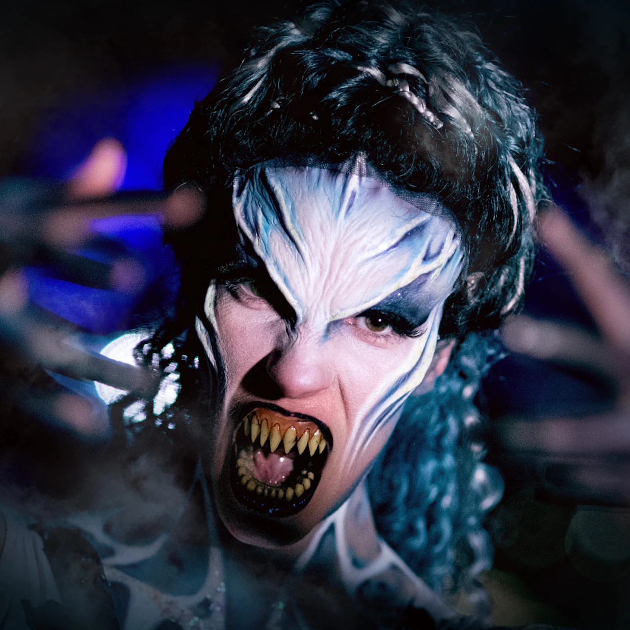 Slider Image
