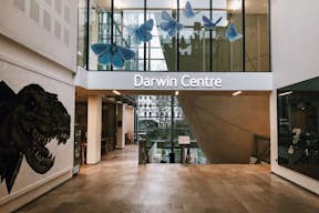 Darwin Centre vid naturhistoriska museet