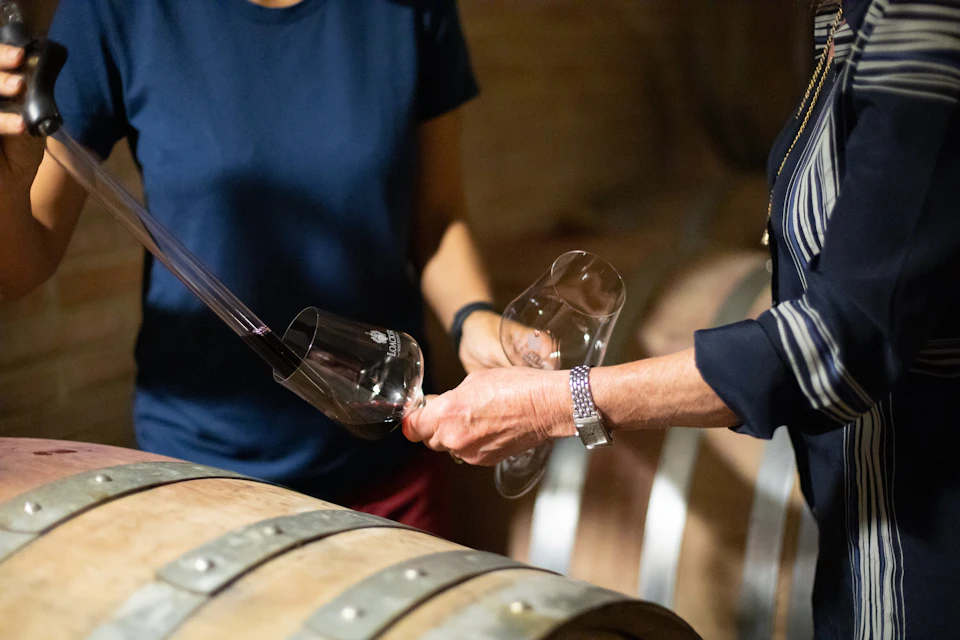 Tasting of Brunello barrel samples
