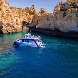 Ponta da Piedade rock format