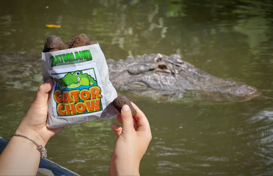 Orlando Gatorland Tickets with Alligator Meet N' Greet