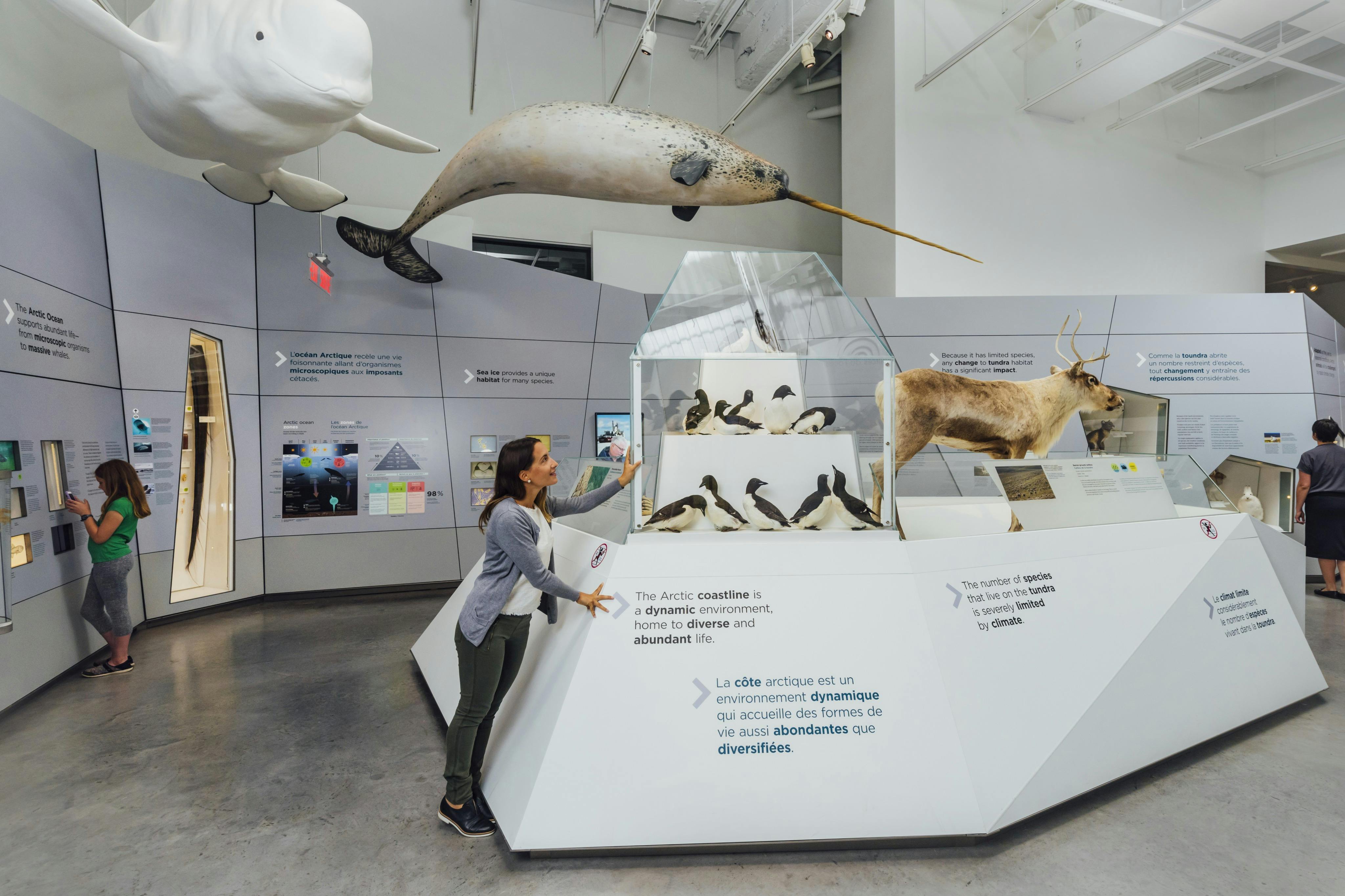 캐나다 자연 박물관