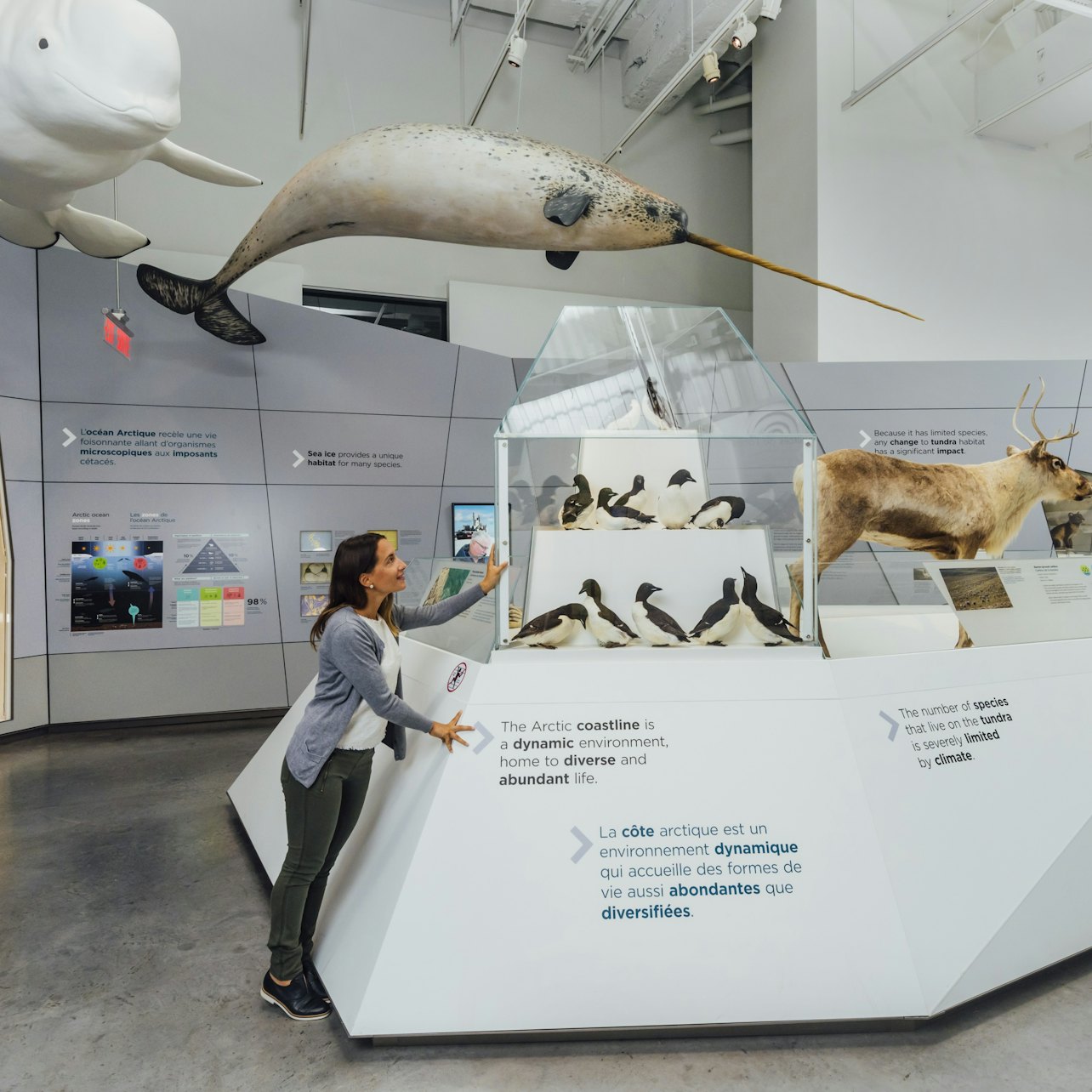 Canadian Museum of Nature - Accommodations in Ottawa