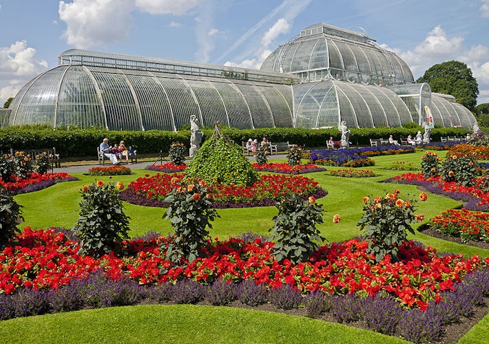 Real Jardín Botánico de Kew: Entrada billete - 2