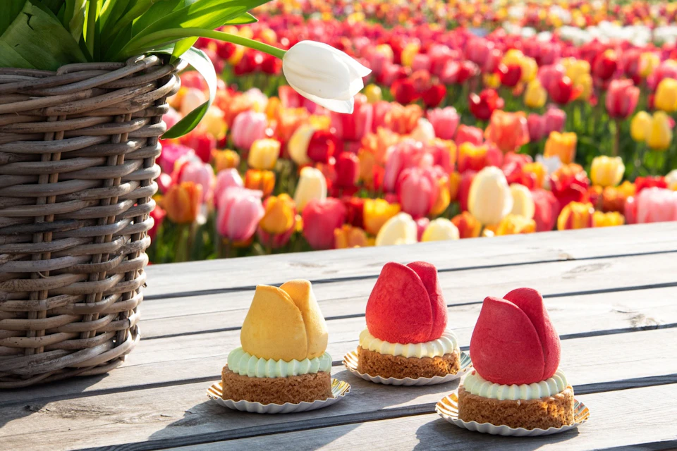 A basket of white tulips and three tulip-shaped pastries on a wooden table, with a colourful field of tulips in the background.
