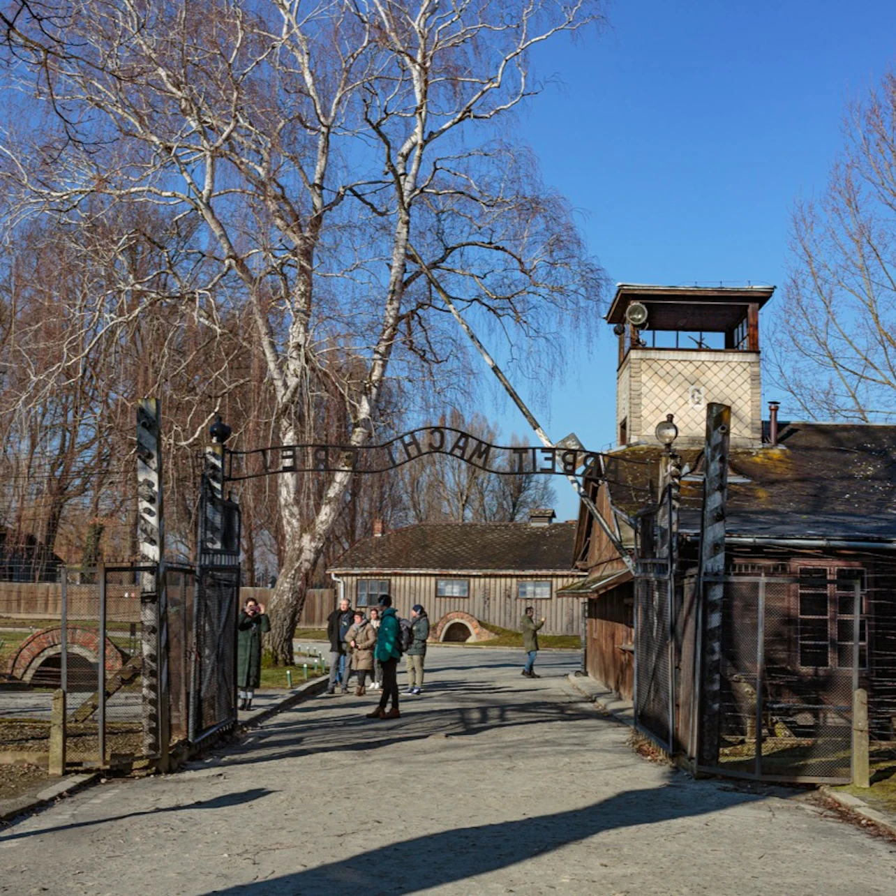 Auschwitz-Birkenau: Guided Tour + Transport in Krakow – Tiqets