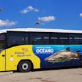 Autobus per l'acquario di Palma