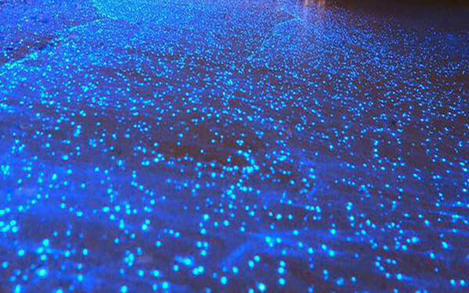 Numerous small blue lights scattered across a dark surface, creating a glowing, starry effect.