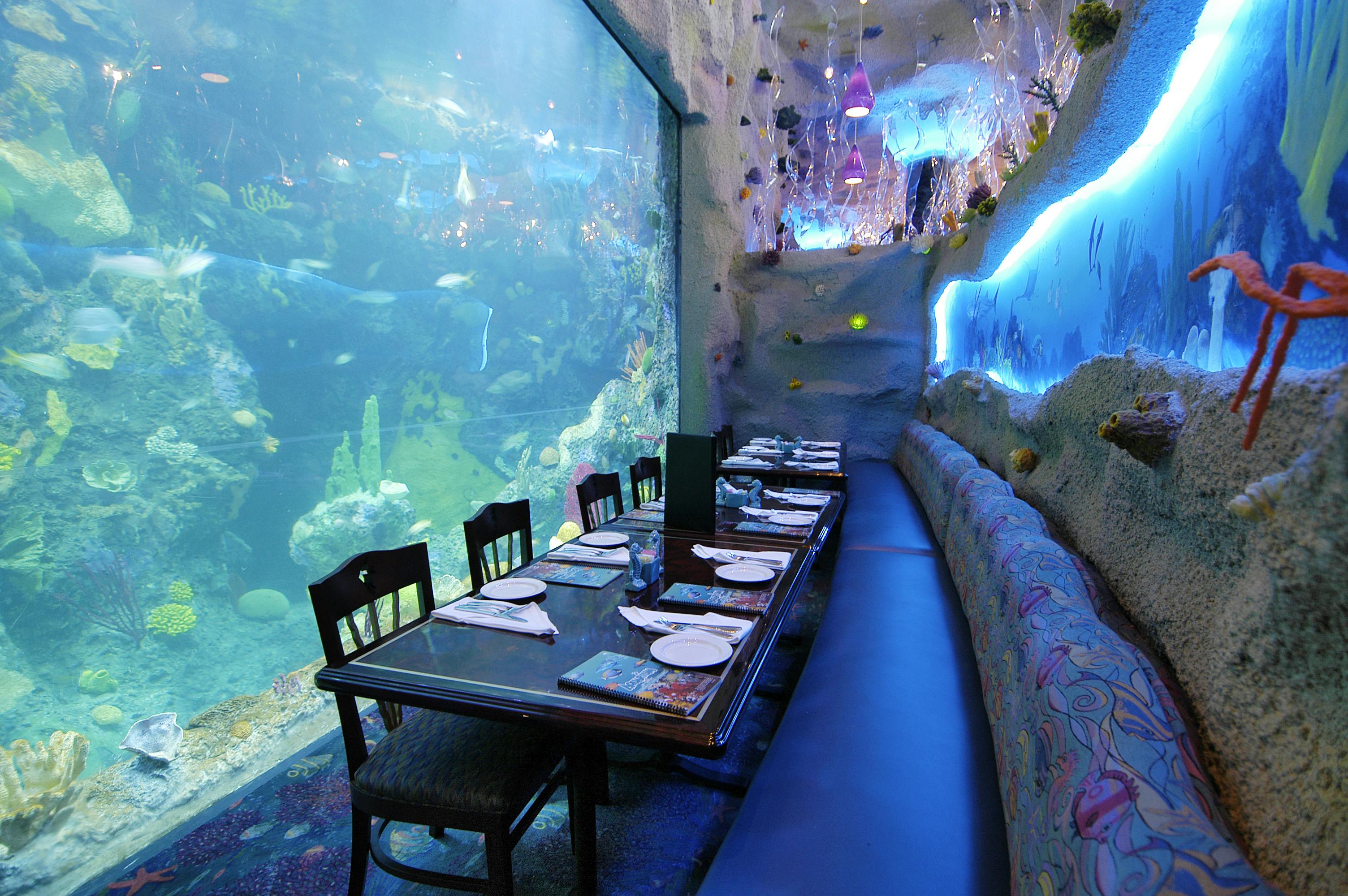 Downtown Aquarium Denver Tickets Tiqets