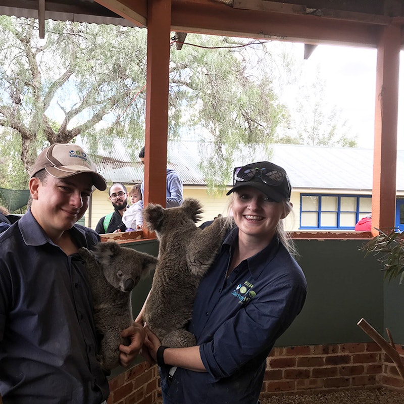 Calmsley Hill City Farmチケット Tiqets Calmsley Hill City Farmチケット Tiqets