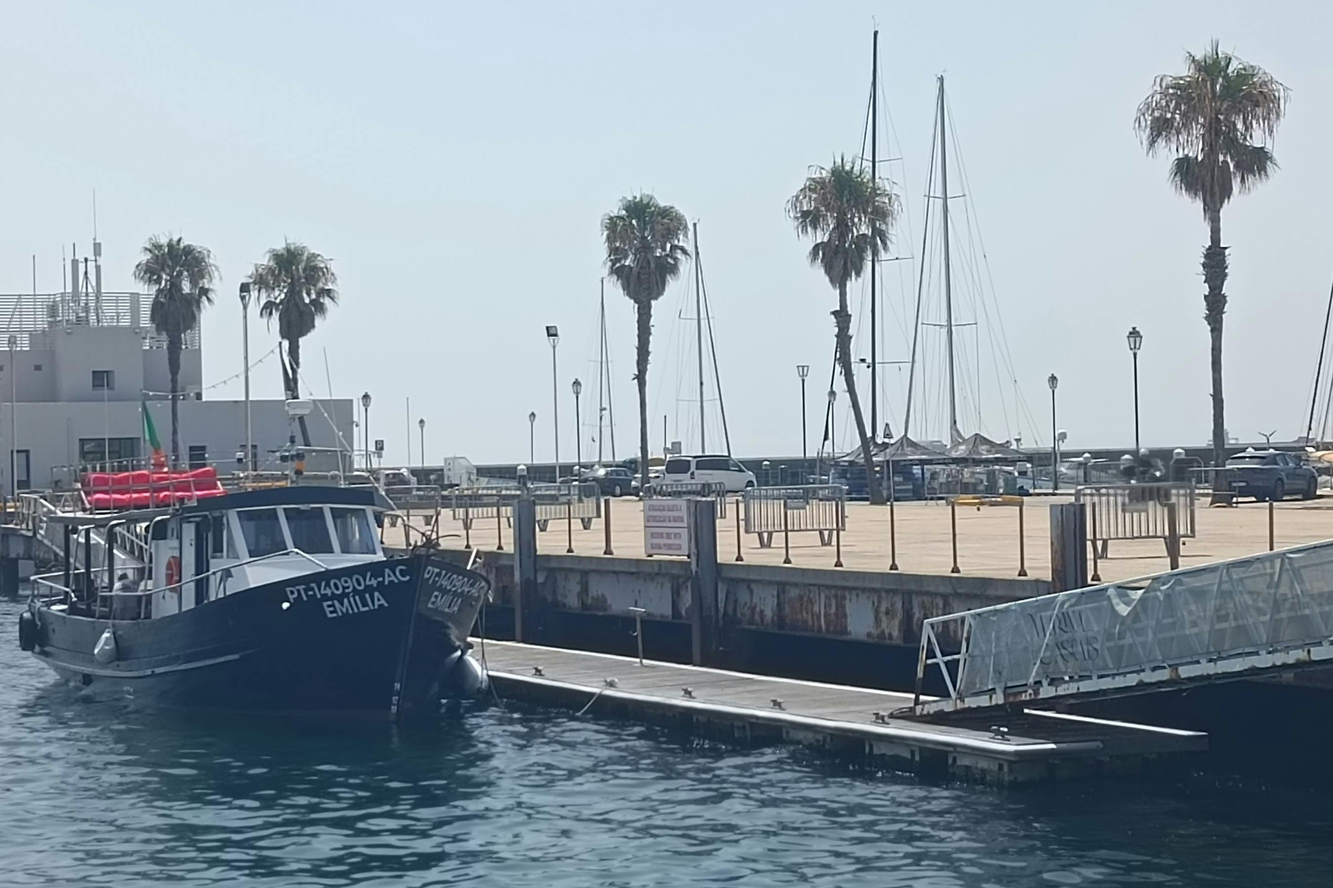 Μια βάρκα με το όνομα «ΑΙΜΙΛΙΑ» αγκυροβόλησε κοντά σε μια προβλήτα με φοίνικες και ιστιοφόρα στο βάθος.