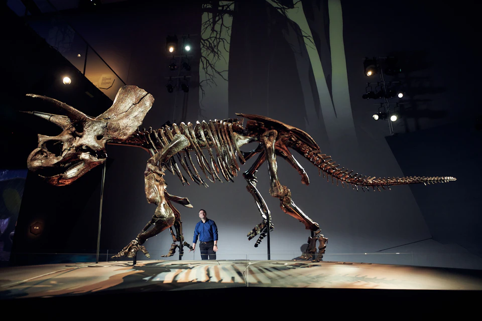 Home of Dinosaurs Tour