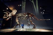 Экскурсия «Дом динозавров»