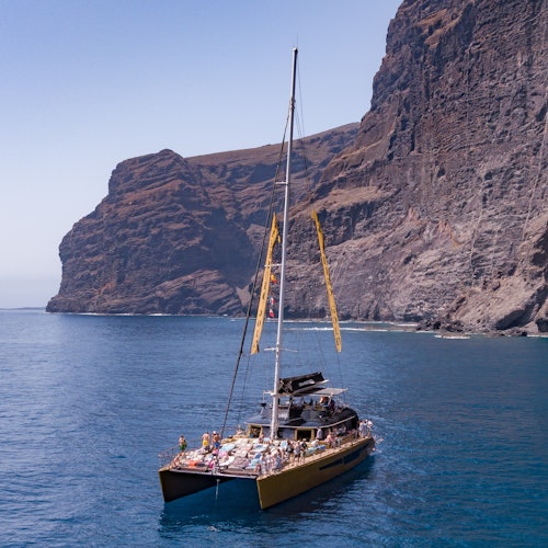 Tenerife: 4.5-Hour Whale & Dolphin Watching Tour to Masca & Los Gigantes Tenerife: 4.5-Hour Whale & Dolphin Watching Tour to Masca & Los Gigantes