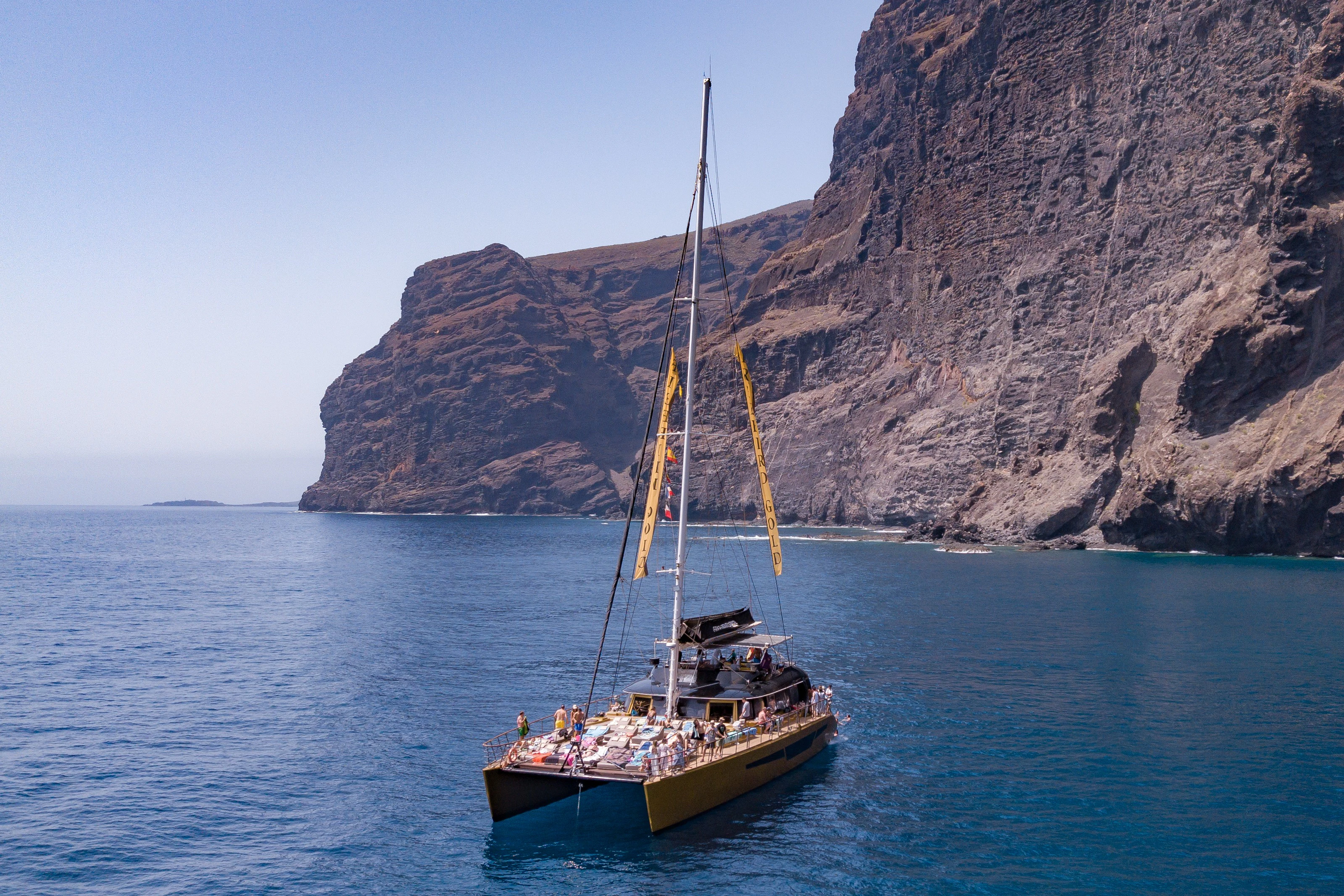 Tenerife: 4.5-Hour Whale & Dolphin Watching Tour to Masca & Los Gigantes