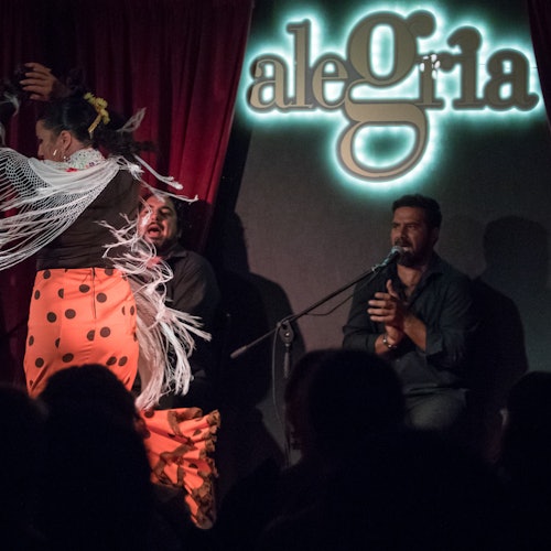Alegría Málaga: Flamenco Show