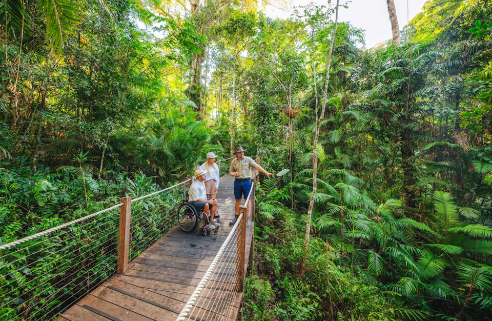 Three people on a wooden boardwalk in a lush forest. One is in a wheelchair, and a guide is gesturing towards the trees.