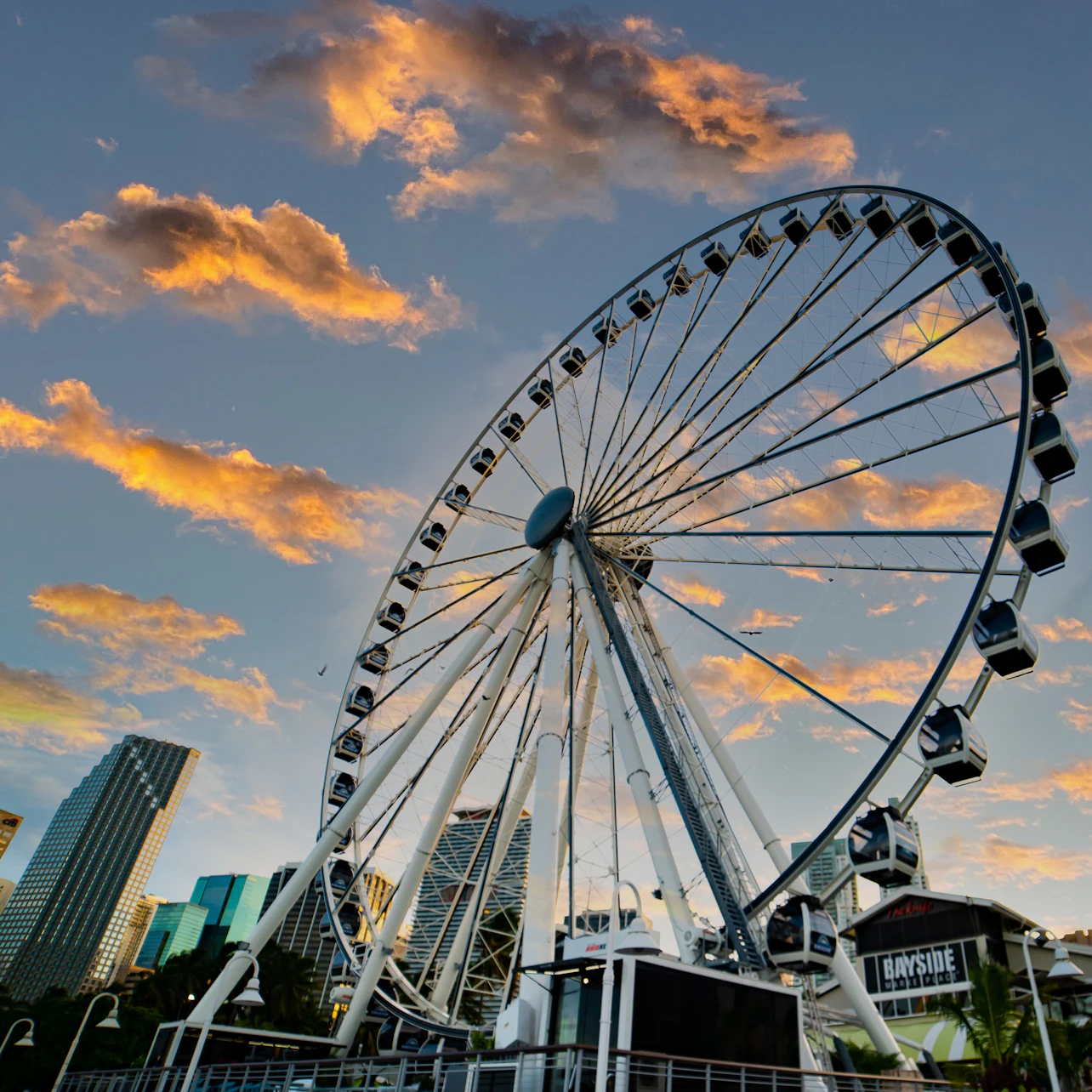 Skyviews Miami Observation Wheel: Entry Ticket in Miami β Tiqets