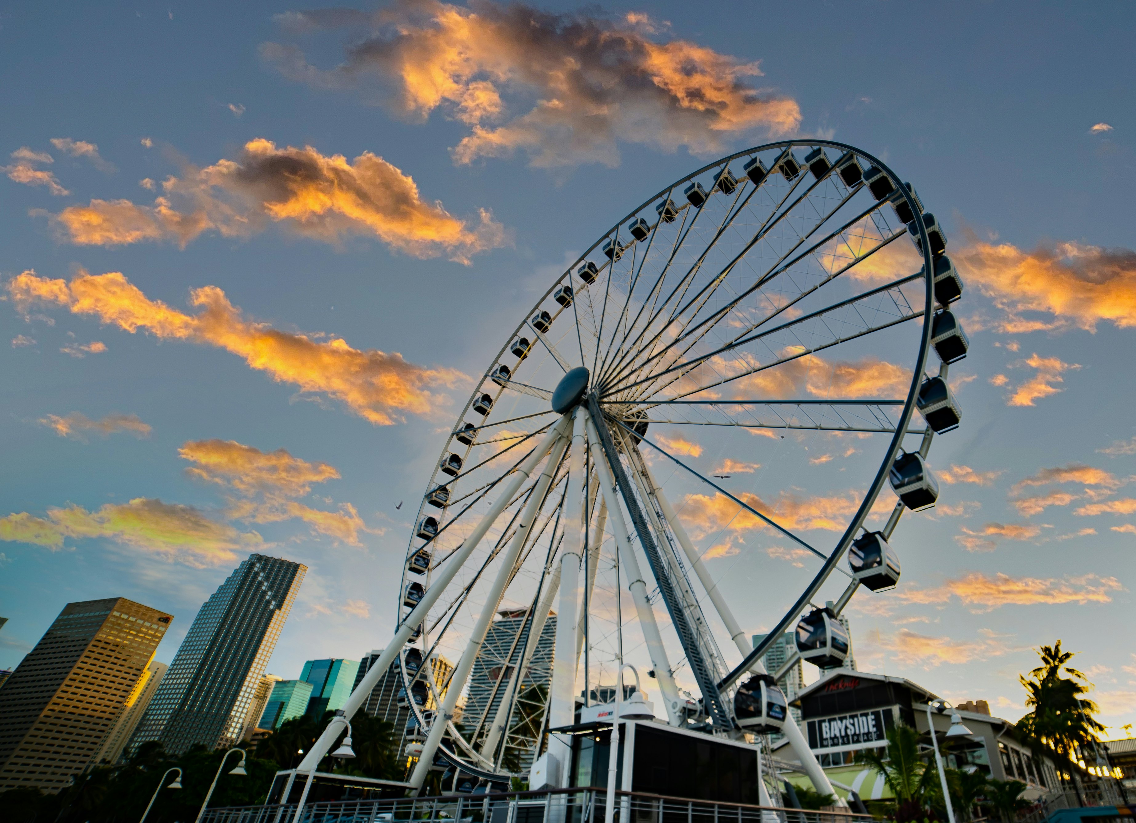 Skyviews Miami Observation Wheel: Entry Ticket