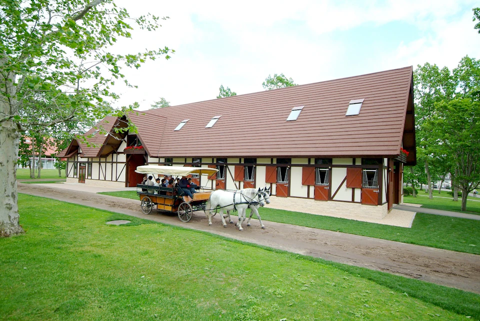 A horse-drawn carriage with passengers passes by a large building with a red roof and white walls on a sunny day.
