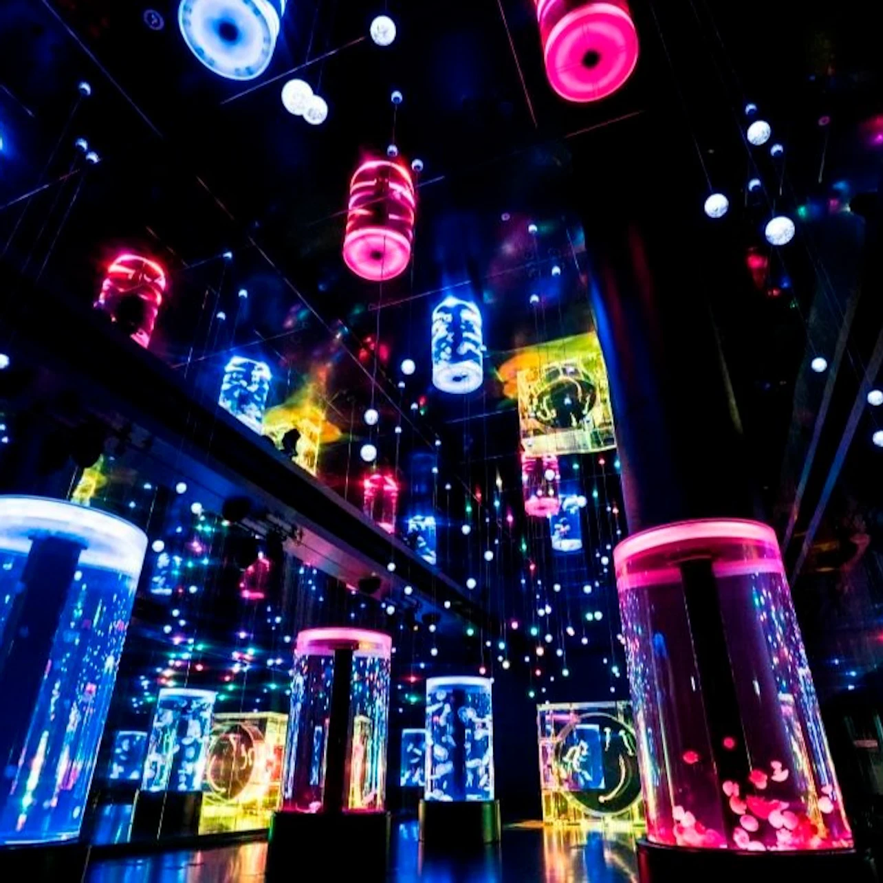 Maxell Aqua Park Shinagawa: Skip The Line Ticket + Dolphin Show in Tokyo β Tiqets