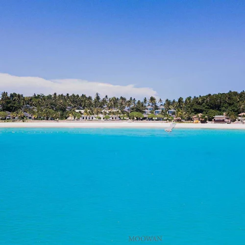 Coral & Racha Islands: Guided Speedboat Tour from Phuket + Lunch - Photo 13