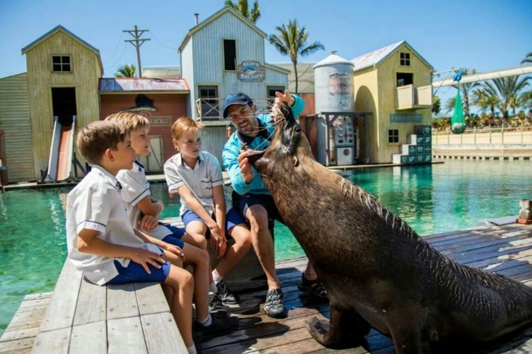 Sea World Gold Coast: Biglietto d'ingresso + traghetto andata e ritorno — 4