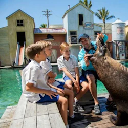 Sea World Gold Coast: Entry Ticket + Roundtrip Ferry 4
