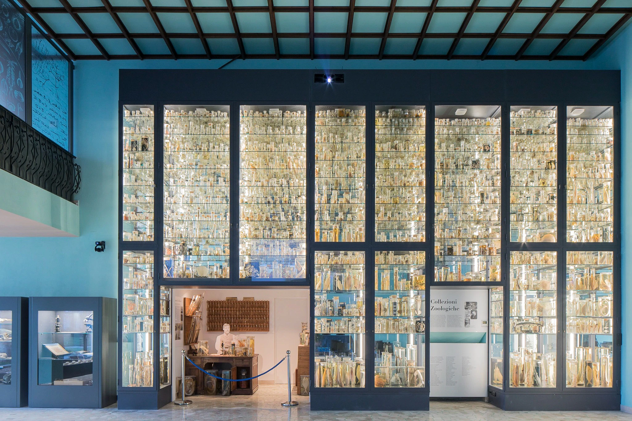 Museum Darwin-Dohrn