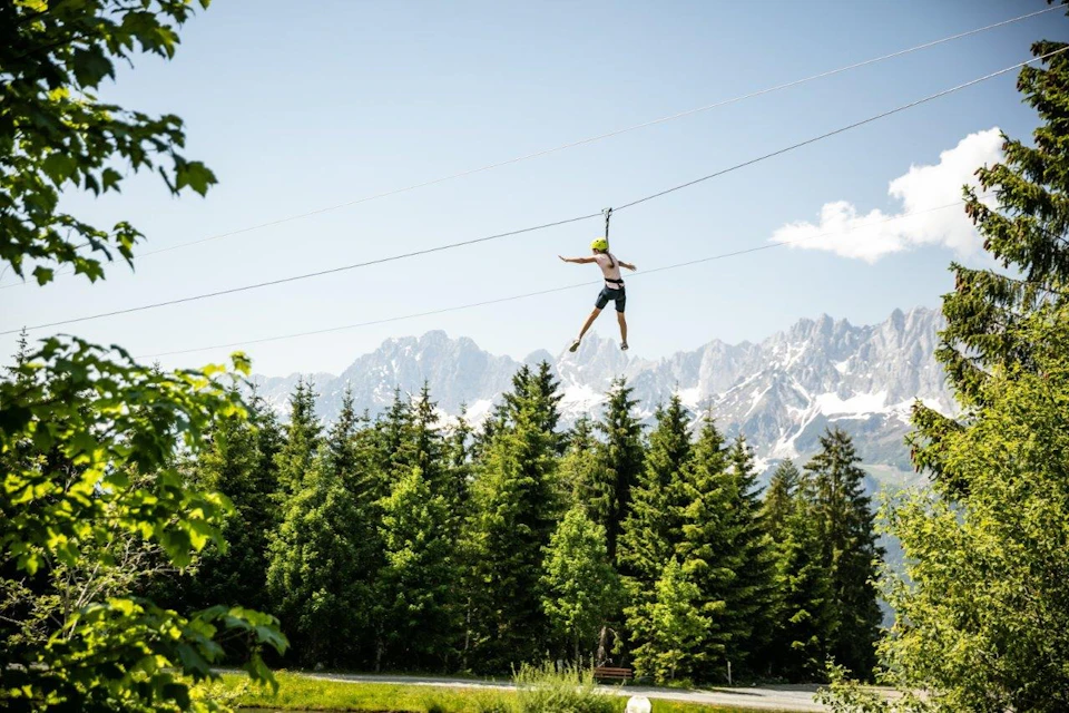 Flying Fox