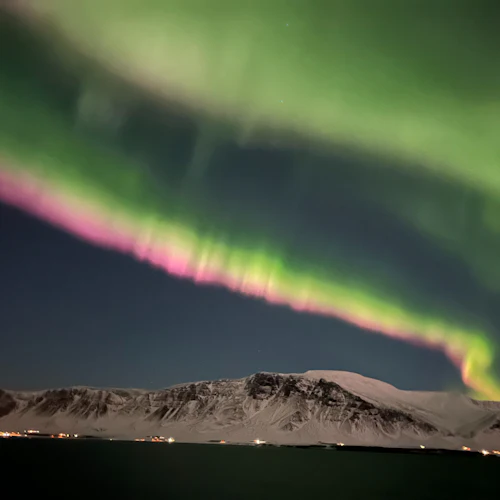 Reykjavik: Whale Watching & Northern Lights Combo Cruise - Photo 6