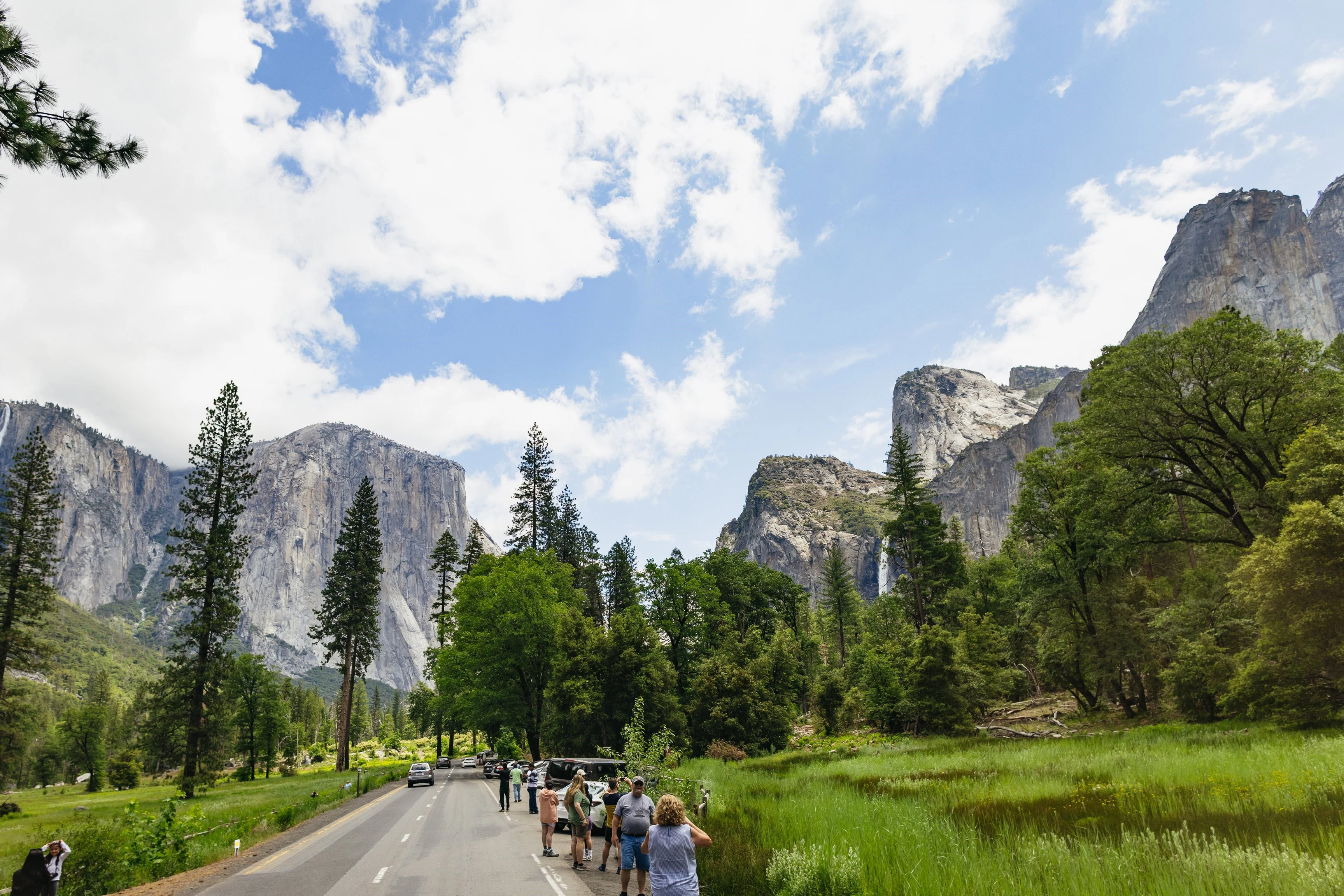 From San Francisco: Yosemite Entry + Transport