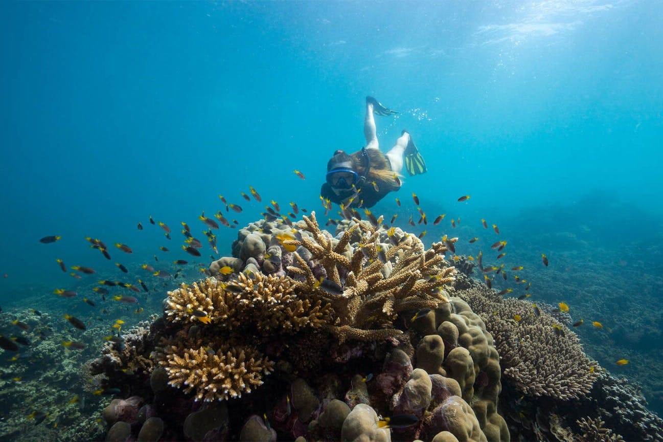 Potápěč plave nad barevným korálovým útesem a malými rybami v průzračné modré vodě.