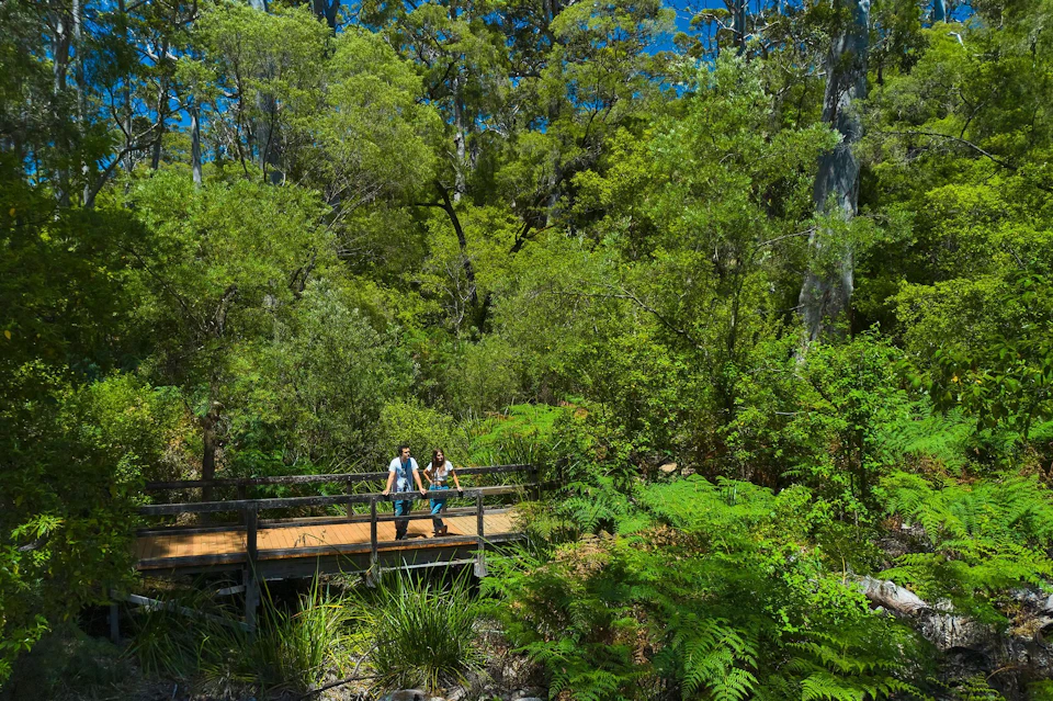 Complete your experience with a walk through the surrounding forest
