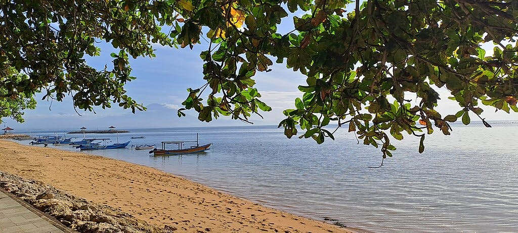 Une plage de sable avec des bateaux amarrés sur une eau calme, partiellement ombragée par des arbres feuillus, sous un ciel bleu clair.